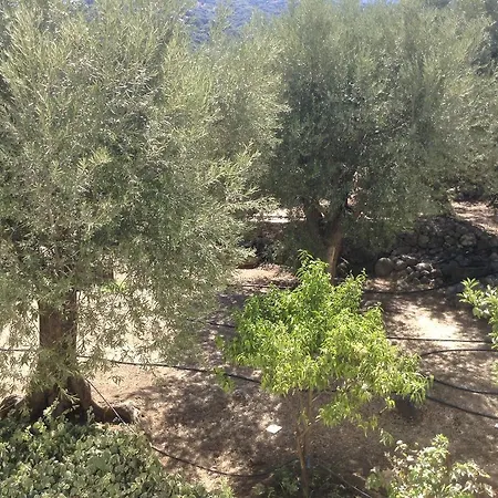To Let To Kyma Skala Sikamineas Affittacamere 3*