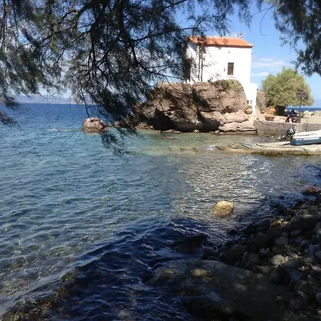 To Let To Kyma Skala Sikamineas Affittacamere