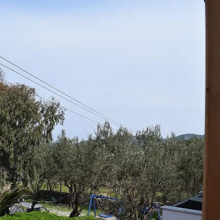 To Let To Kyma Skala Sikamineas Skala Sykamineas