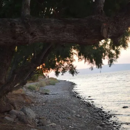 To Let To Kyma Skala Sikamineas 3*